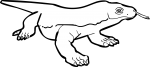 Komodo Dragon freehand drawings